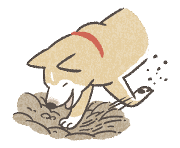Dog digging — page under construction