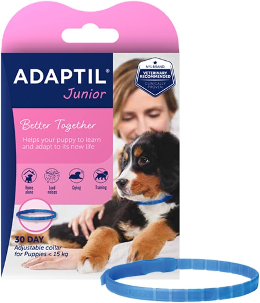 Adaptil Junior puppy collar